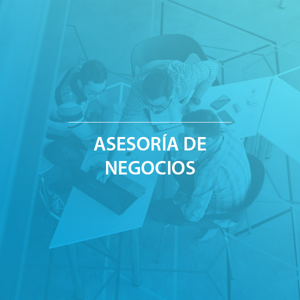 Asesoría de negocios